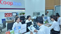 Chấm dứt tư cách thành viên ngân hàng hợp tác xã quy định ra sao?