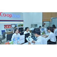 Chấm dứt tư cách thành viên ngân hàng hợp tác xã quy định ra sao?