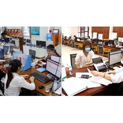 Nguyên tắc tinh giản biên chế với cán bộ, công chức, viên chức gồm?