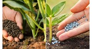 Hồ sơ đề nghị cấp Quyết định công nhận tổ chức khảo nghiệm phân bón