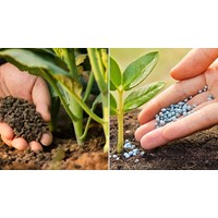 Hồ sơ đề nghị cấp Quyết định công nhận tổ chức khảo nghiệm phân bón