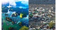 Phân cấp vùng rủi ro ô nhiễm dựa trên những tiêu chí nào?