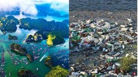 Phân cấp vùng rủi ro ô nhiễm dựa trên những tiêu chí nào?
