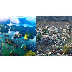 Phân cấp vùng rủi ro ô nhiễm dựa trên những tiêu chí nào?