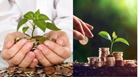 Lịch trả cổ tức cho cổ đông doanh nghiệp hàng năm vào ngày nào?