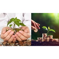 Lịch trả cổ tức cho cổ đông doanh nghiệp hàng năm vào ngày nào?