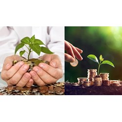 Lịch trả cổ tức cho cổ đông doanh nghiệp hàng năm vào ngày nào?