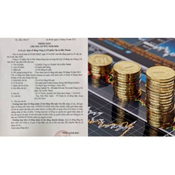 Những thông tin tại thông báo về lịch trả cổ tức cho cổ đông