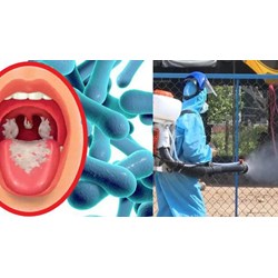 Tiếp xúc với người mắc bệnh bạch hầu có phải cách ly không?