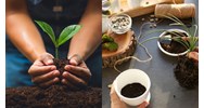 Đối tượng được hỗ trợ đầu tư cơ sở sản xuất giống cây trồng lâm nghiệp từ 15/7/2024