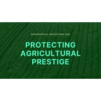 Geographical Indications (GIs): Protecting Agricultural Prestige