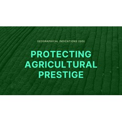 Geographical Indications (GIs): Protecting Agricultural Prestige