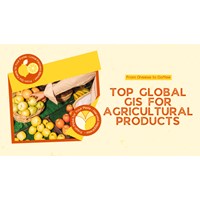 From Cheese to Coffee: Top Global GIs for Agricultural Products