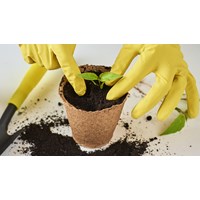 Hướng dẫn đăng ký nhãn hiệu cho giá thể trồng cây từ A-Z