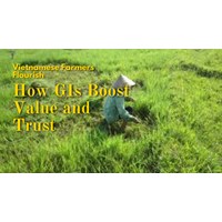 Vietnamese Farmers Flourish: How GIs Boost Value and Trust