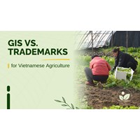 GIs vs. Trademarks for Vietnamese Agriculture