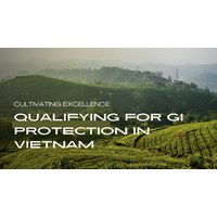 Cultivating Excellence: Qualifying for GI Protection in Vietnam