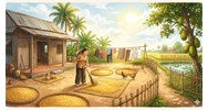 Phân tích Mùa phơi sân trước của Nguyễn Ngọc Tư siêu hay