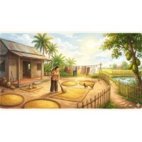Phân tích Mùa phơi sân trước của Nguyễn Ngọc Tư siêu hay