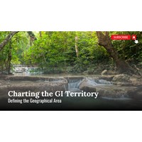 Charting the GI Territory: Defining the Geographical Area