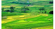 Trách nhiệm xây dựng Cơ sở dữ liệu đất đai quốc gia thuộc về ai?