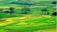 Trách nhiệm xây dựng Cơ sở dữ liệu đất đai quốc gia thuộc về ai?