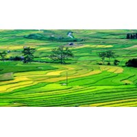 Trách nhiệm xây dựng Cơ sở dữ liệu đất đai quốc gia thuộc về ai?