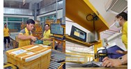 Các thành phần mạng bưu chính công cộng kết nối với Mạng bưu chính KT1
