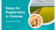 Navigating the GI Path: Steps for Registration in Vietnam