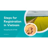 Navigating the GI Path: Steps for Registration in Vietnam