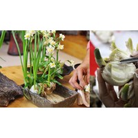 Tóm tắt Cách gọt củ hoa thuỷ tiên chọn lọc hay nhất
