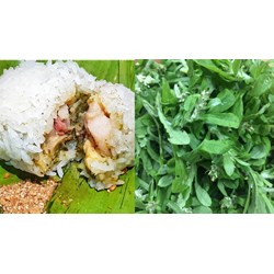 Phân tích tác phẩm Hương khúc chọn lọc hay nhất