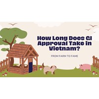 From Farm to Fame: How Long Does GI Approval Take in Vietnam?