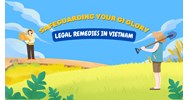 Safeguarding Your GI Glory: Legal Remedies in Vietnam