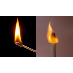 Tóm tắt Cây diêm cuối cùng chọn lọc hay nhất