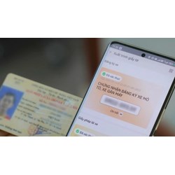 Thông tin đăng ký xe bị tạm giữ trên VNeID được kiểm tra ra sao?