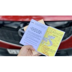 Giấy chứng nhận bảo hiểm ô tô bắt buộc điện tử gồm thông tin nào?