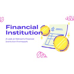 A Look at Vietnam's Financial Institution Framework