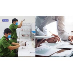 Không có bằng đại học được làm người giám định tư pháp theo vụ việc không?