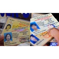 Trong trrường hợp nào thì người dân sẽ được cấp mới bằng lái xe?