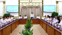 Lĩnh vực được thí điểm phân cấp quản lý nhà nước cho TP.Hồ Chí Minh