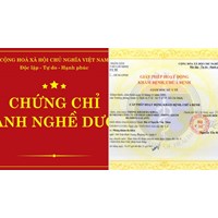 Chứng chỉ hành nghề dược sẽ mất giá trị trong trường hợp nào?