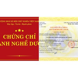 Chứng chỉ hành nghề dược sẽ mất giá trị trong trường hợp nào?