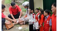 Các hoạt động của chữ thập đỏ về chăm sóc sức khỏe