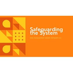 Safeguarding the System: Risk Management Under Vietnam's LCI