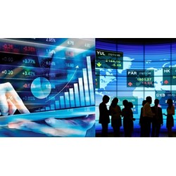 Những ai được xem là người nội bộ của công ty đại chúng?