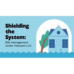 Shielding the System: Risk Management Under Vietnam's LCI
