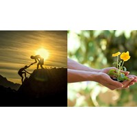 Kể về một việc làm thể hiện tinh thần đoàn kết, tương thân tương ái