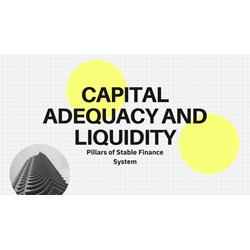 Capital Adequacy and Liquidity: Pillars of Stable Finance System