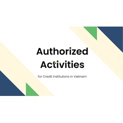 Authorized Activities for Credit Institutions in Vietnam